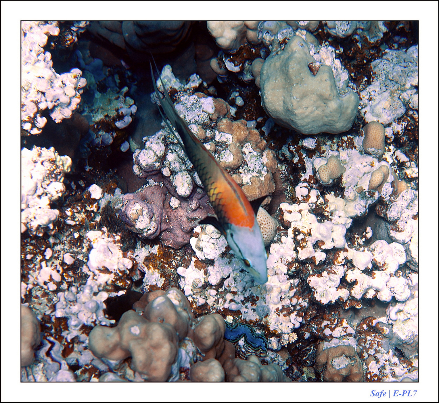 Hurghada - Juillet 2021 - 094